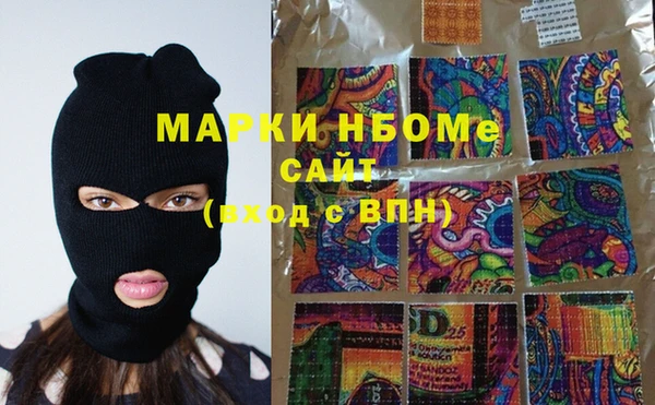 ГАЛЛЮЦИНОГЕННЫЕ ГРИБЫ Семёнов